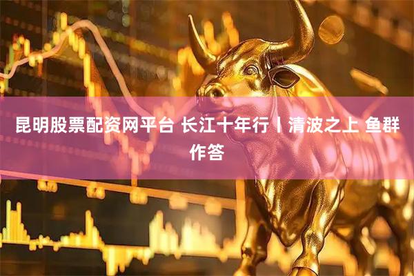 昆明股票配资网平台 长江十年行丨清波之上 鱼群作答
